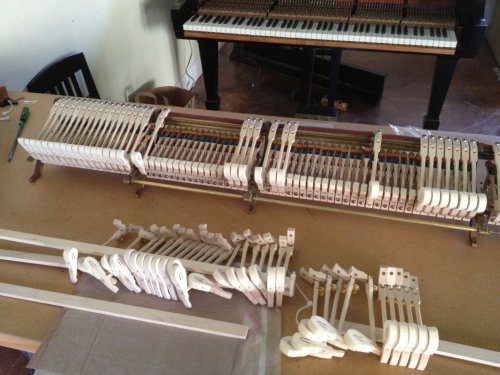 how to remove piano whippen how to remove piano whippen